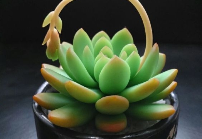 Công trình quận 1